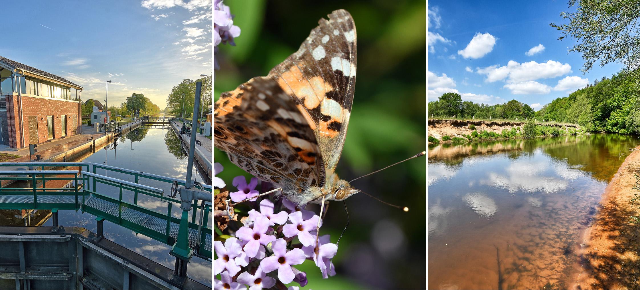 image - Niedersächsischer Landesbetrieb für Wasserwirtschaft, Küsten- und Naturschutz